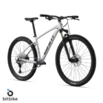 دوچرخه کوهستان جاینت تالون0 Giant Talon 29 0(2024)